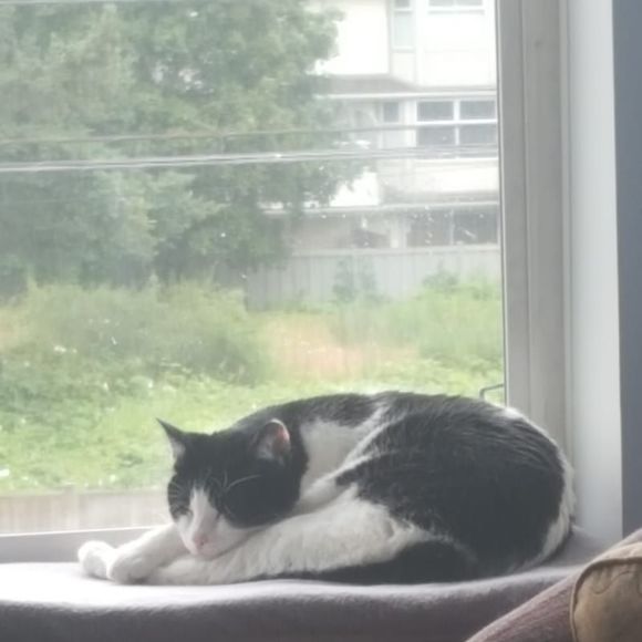 Meet your Posher, Carrie - Picture 1 of 1